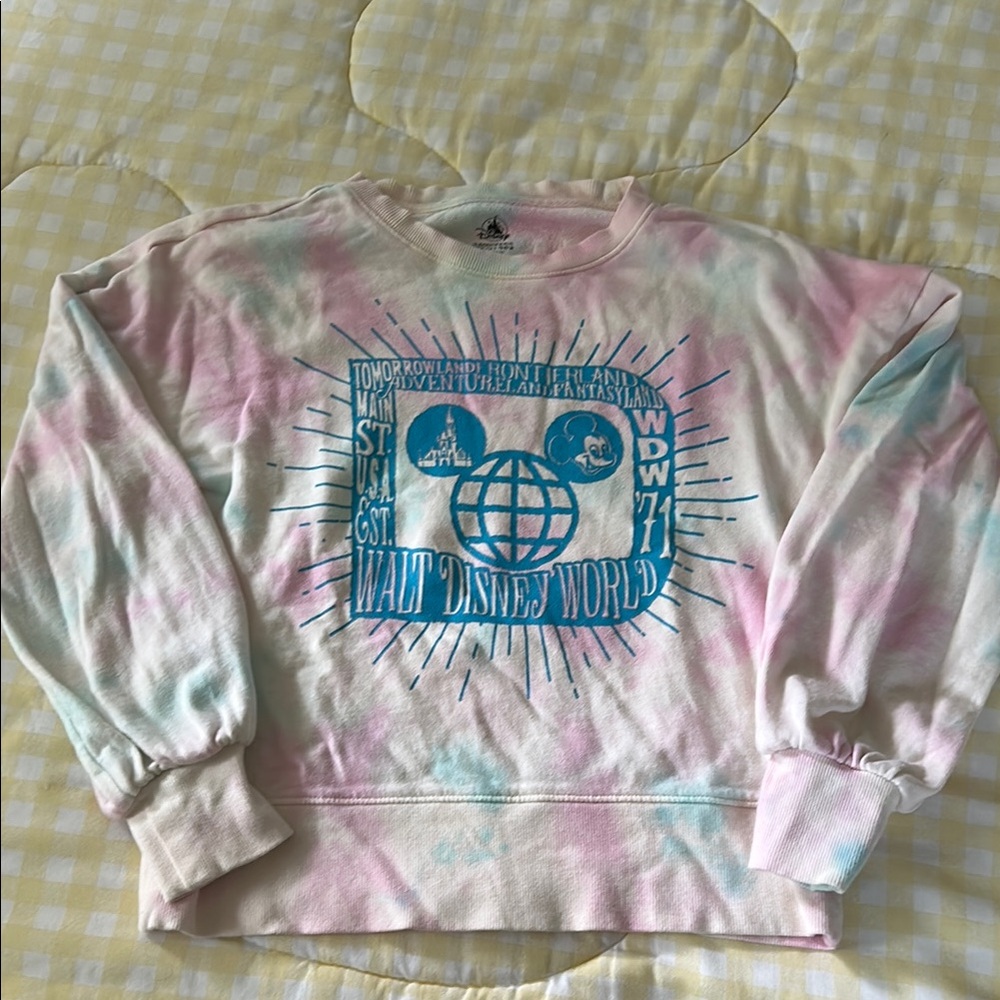 Disney Sweatshirt 🏰